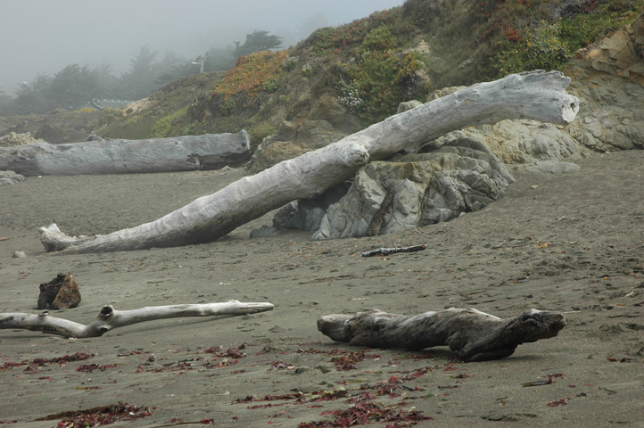 Moonstone Beach 015.jpg